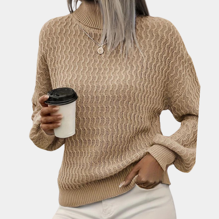 Veelleala | Pull Col Roulé Classique pour Femmes