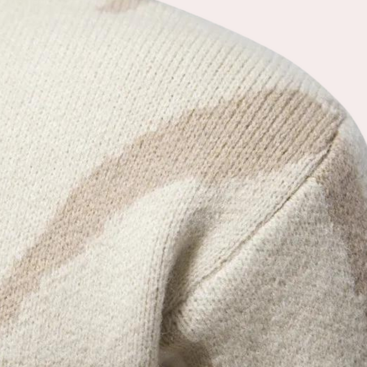 Vianan | Pull col roulé moderne homme