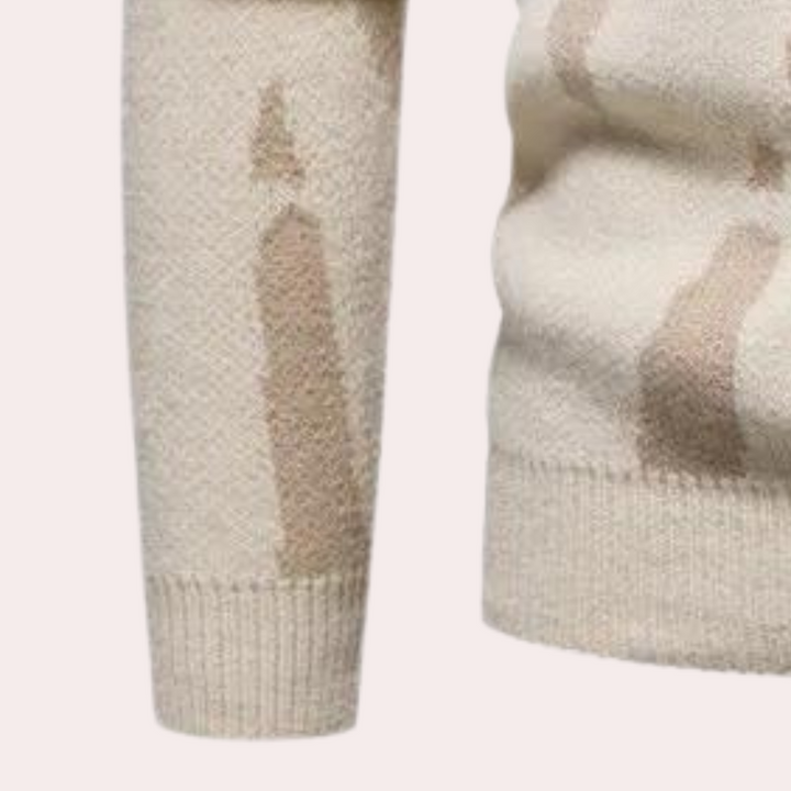 Vianan | Pull col roulé moderne homme